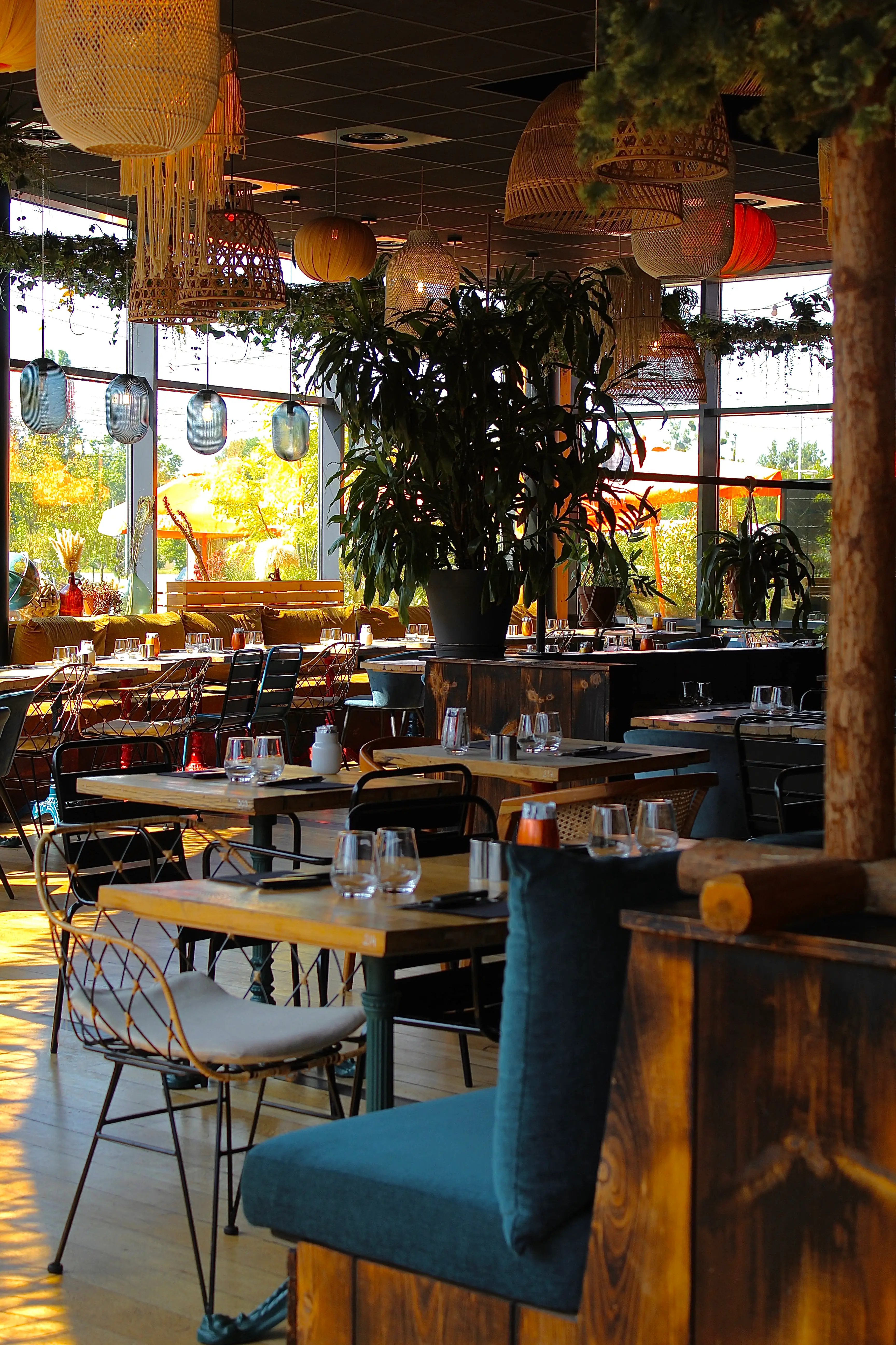 Salle du restaurant JAVA à l'heure dorée : grandes verrières, suspensions en rotin et canopée de plantes